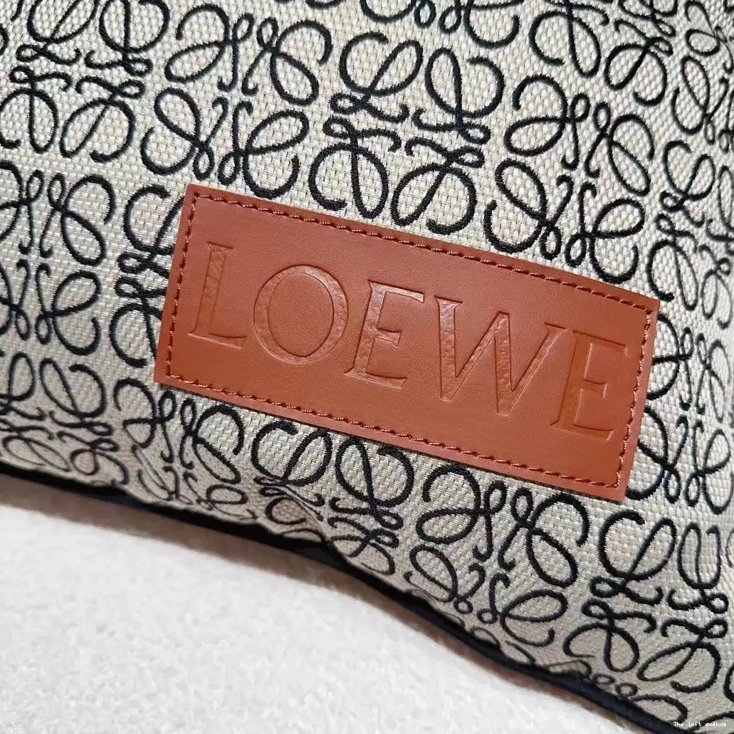 LOEWE PILLOW THROW 0503